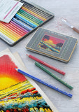 Polychromos Colour Pencil 111th Anniversary, Tin of 24