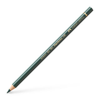 Polychromos Colour Pencil, Juniper Green (Colour 165)