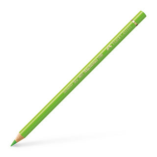Polychromos Colour Pencil, Light Green (Colour 171)