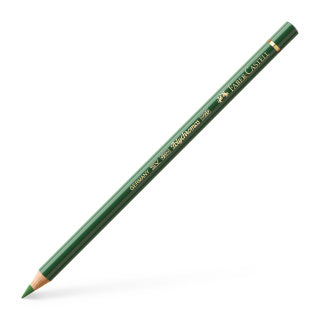 Polychromos Colour Pencil, Permanent Green Olive (Colour 167)