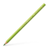 Polychromos Colour Pencil, May Green (Colour 170)