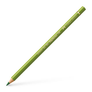 Polychromos Colour Pencil, Earth Green Yellowish (Colour 168)